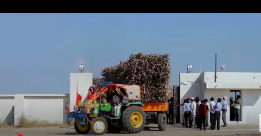 सहकारिता 