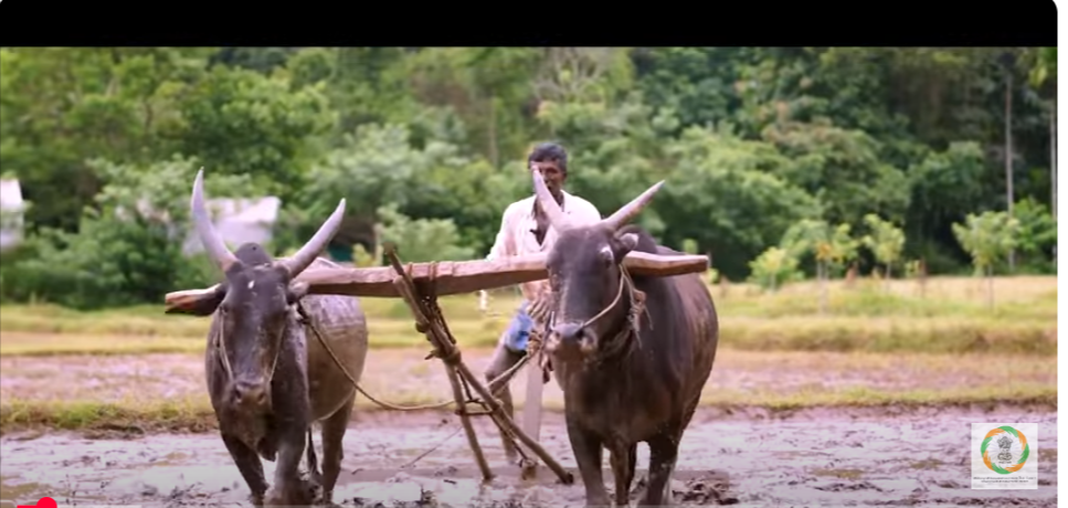 सहकारिता